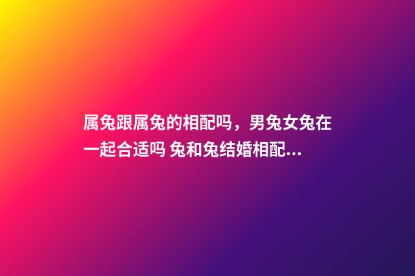 属兔跟属兔的相配吗，男兔女兔在一起合适吗 兔和兔结婚相配吗兔和兔生肖做夫妻好吗-第1张-观点-玄机派